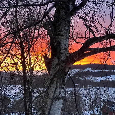 Tommen's Crib Apartment Hemsedal